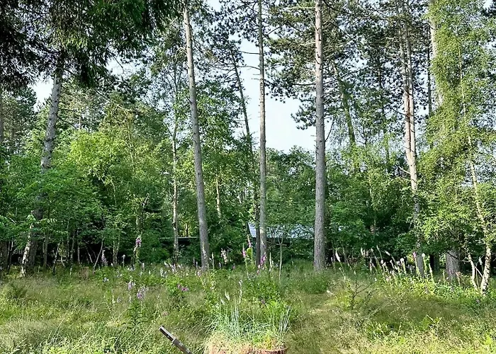 60s Summer House By Bjerge Sydstrand Store Fuglede